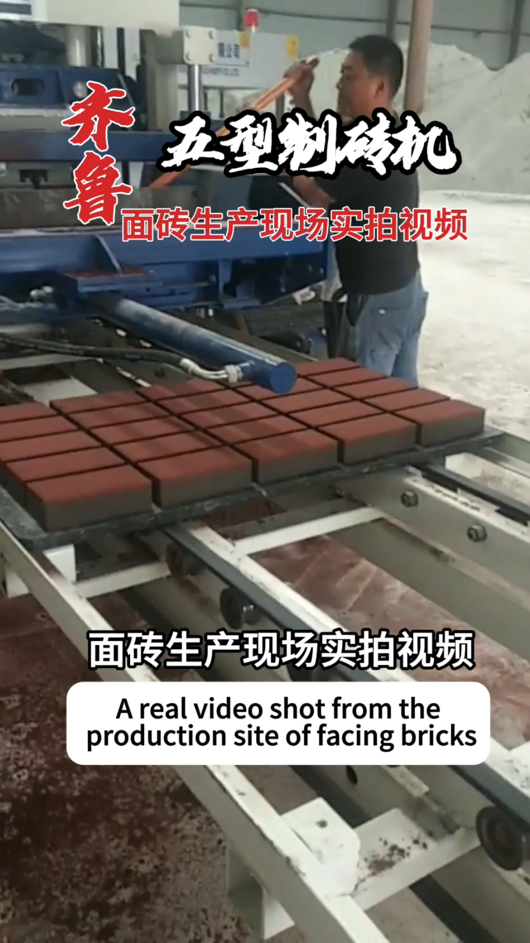 全自动制砖机生产线面包砖生产现场实拍视频