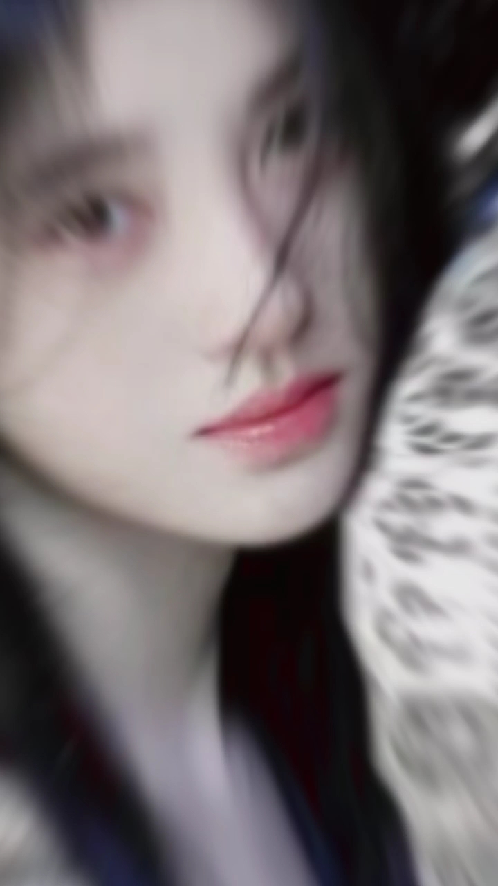 蜜橘鹿茸和曲奇集合