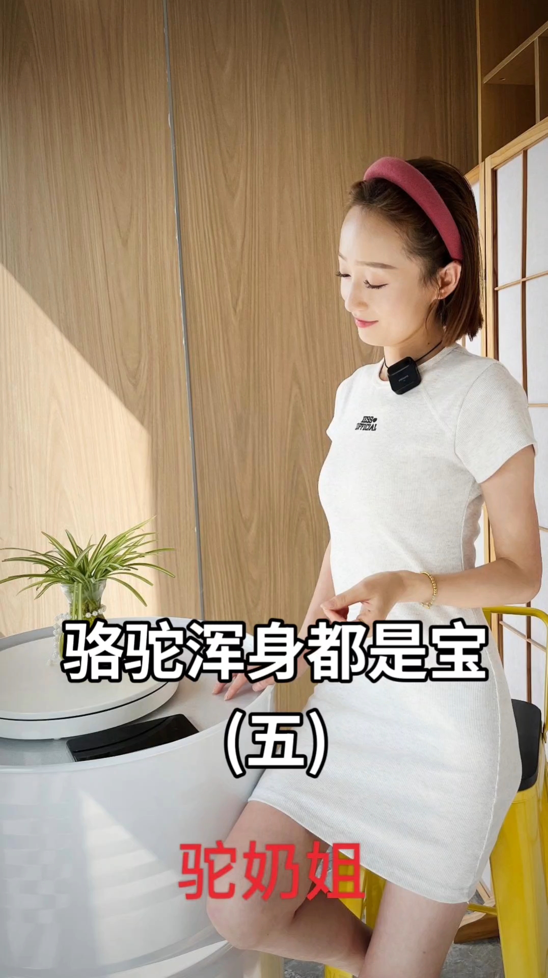 骆驼的脂肪为不饱和脂肪酸。#新疆#骆驼
