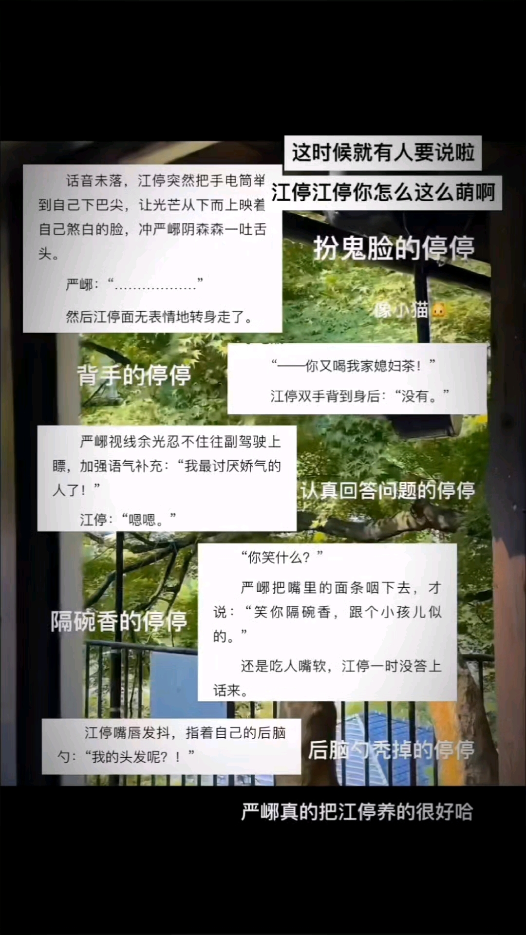严峫真的把江停养的很好啊