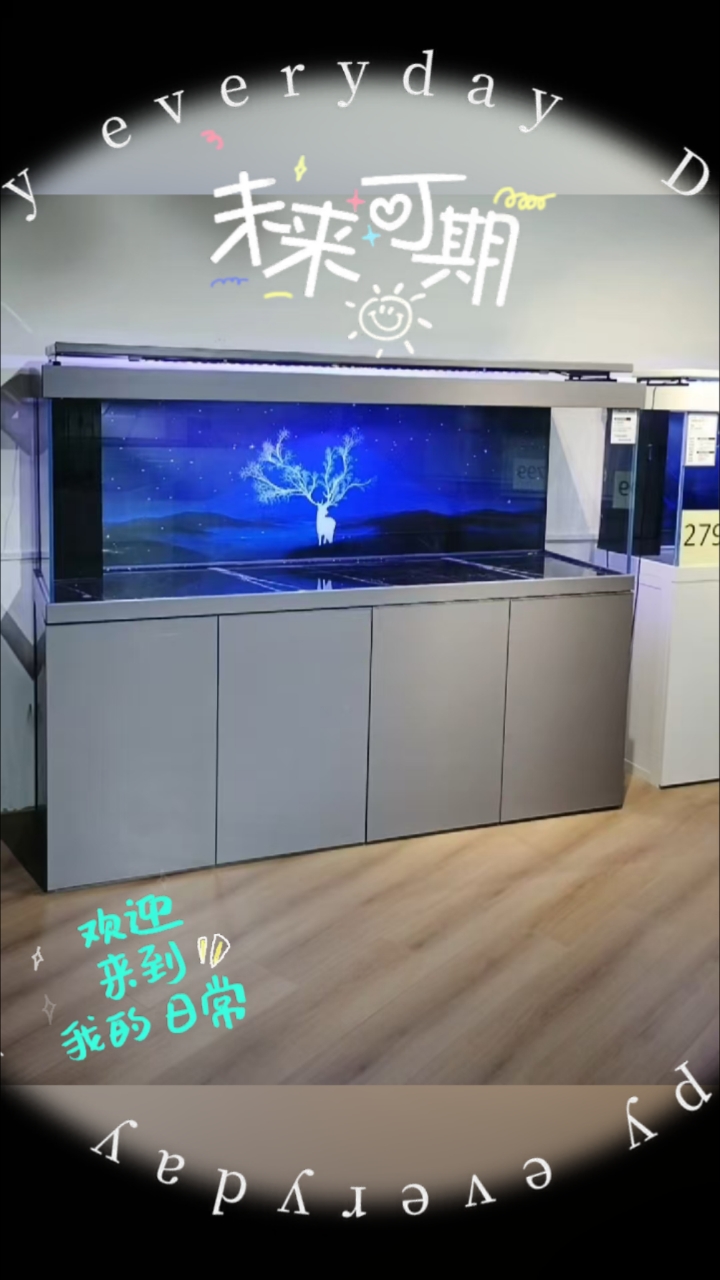 鱼缸,大型鱼缸设备。轻松养鱼