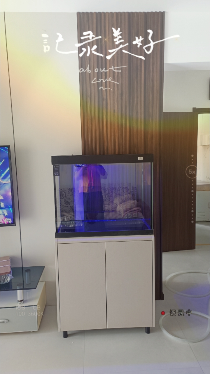鱼缸家具细节养鱼效果非常好