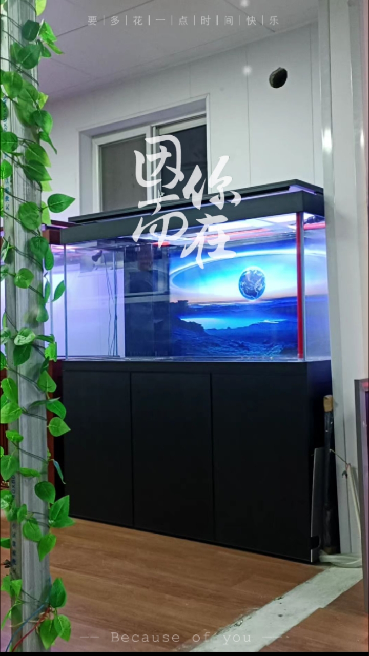 分享视频