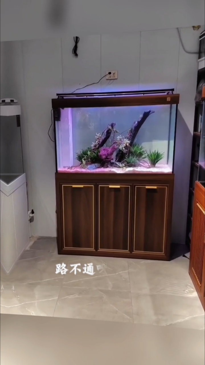 鱼缸造景