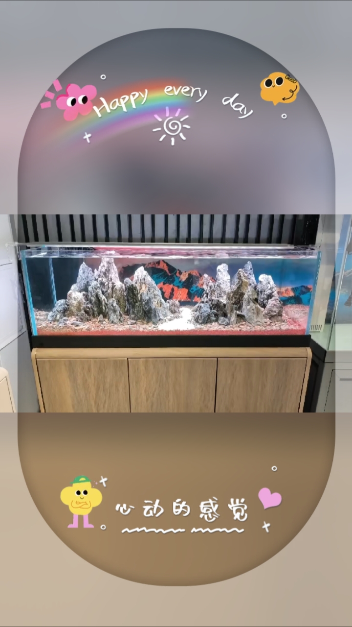 自然景观生态鱼缸造景景观鱼缸溪流缸