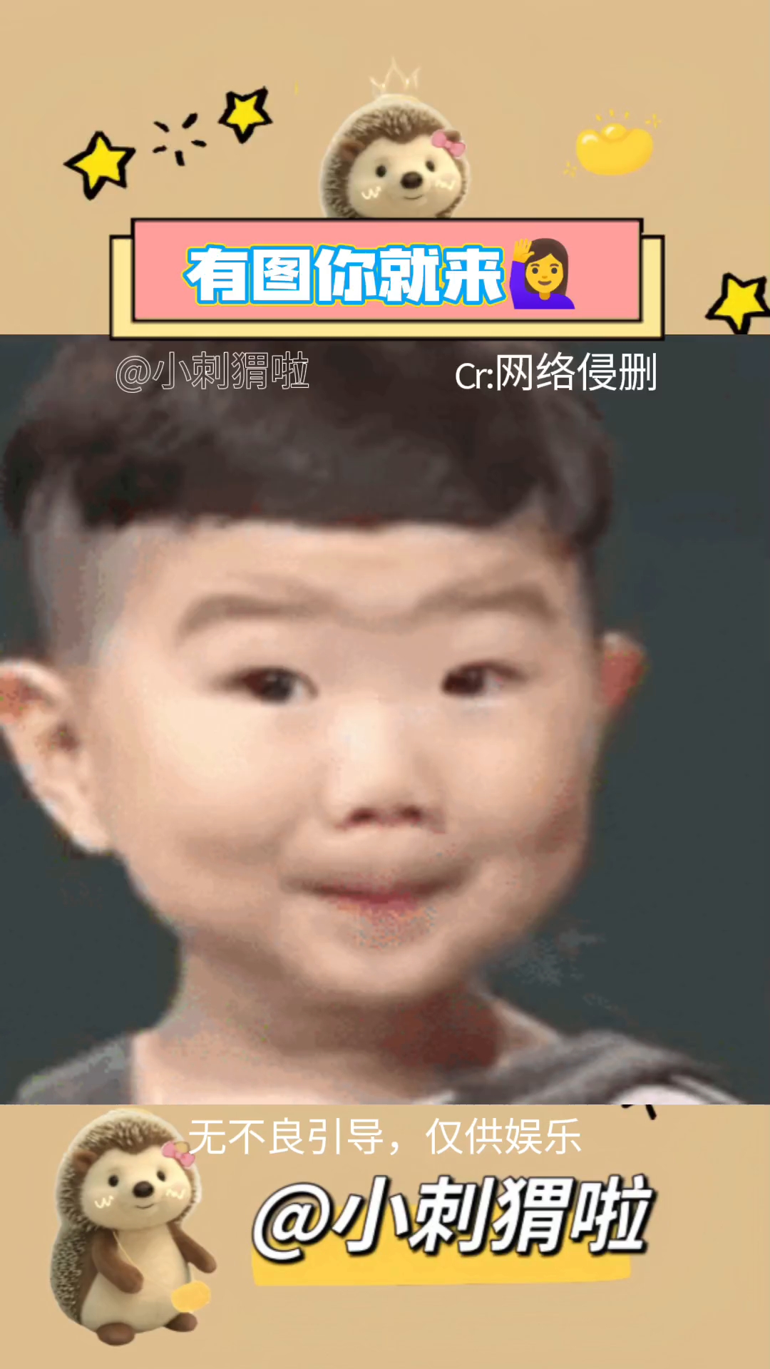 有表情包的图你就来