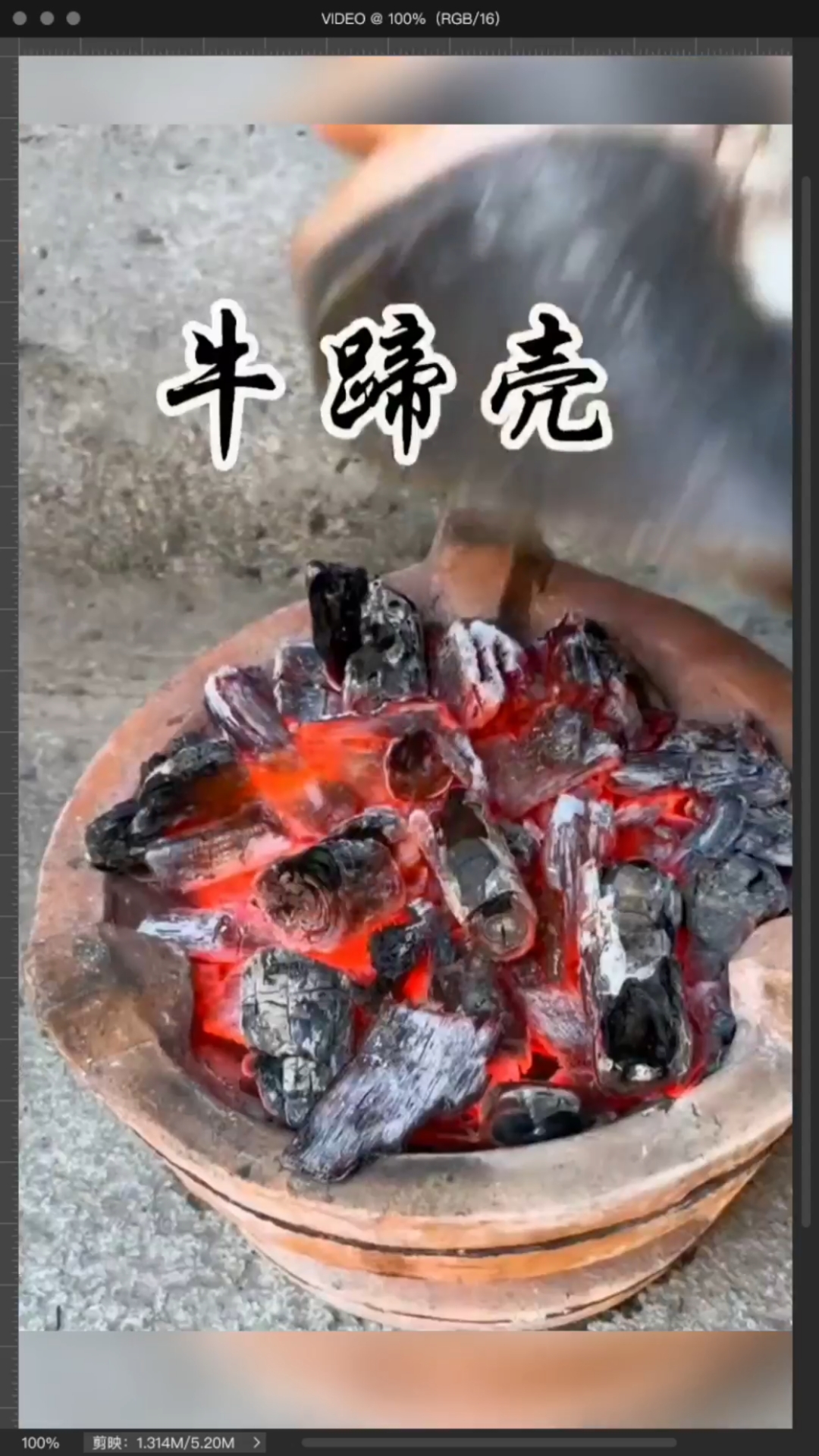 牛蹄壳别丢!!还能这么用