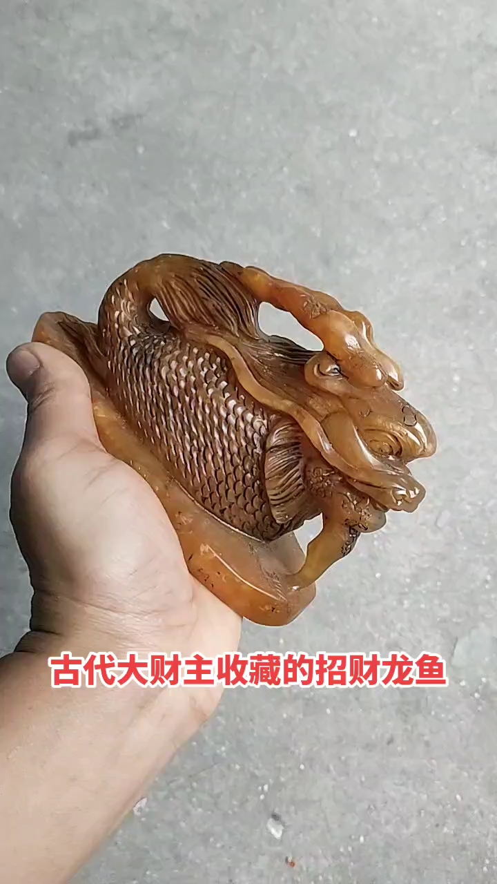 古代大财主收藏的招财龙鱼。