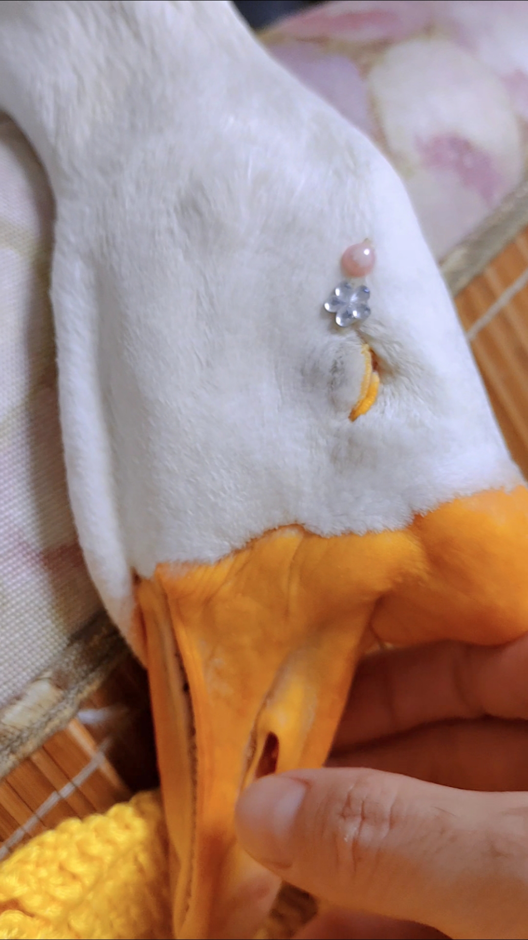 大鹅耳朵在哪里,没想到近距离看鹅的毛会出奇耀眼,太不可思议了