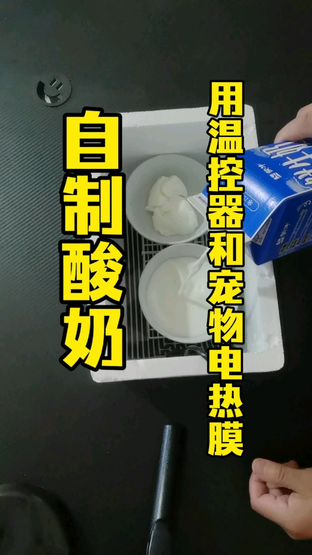在家里用温控器和宠物加热垫自制酸奶