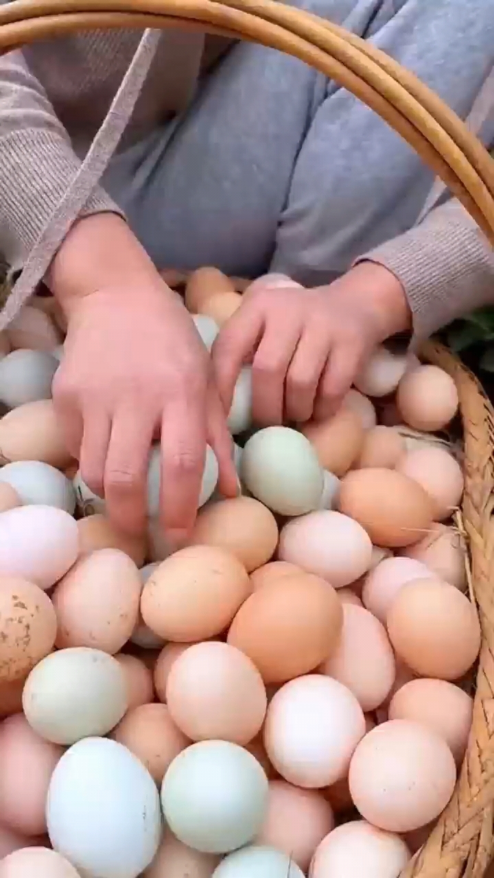 农家林下散养新鲜土鸡蛋