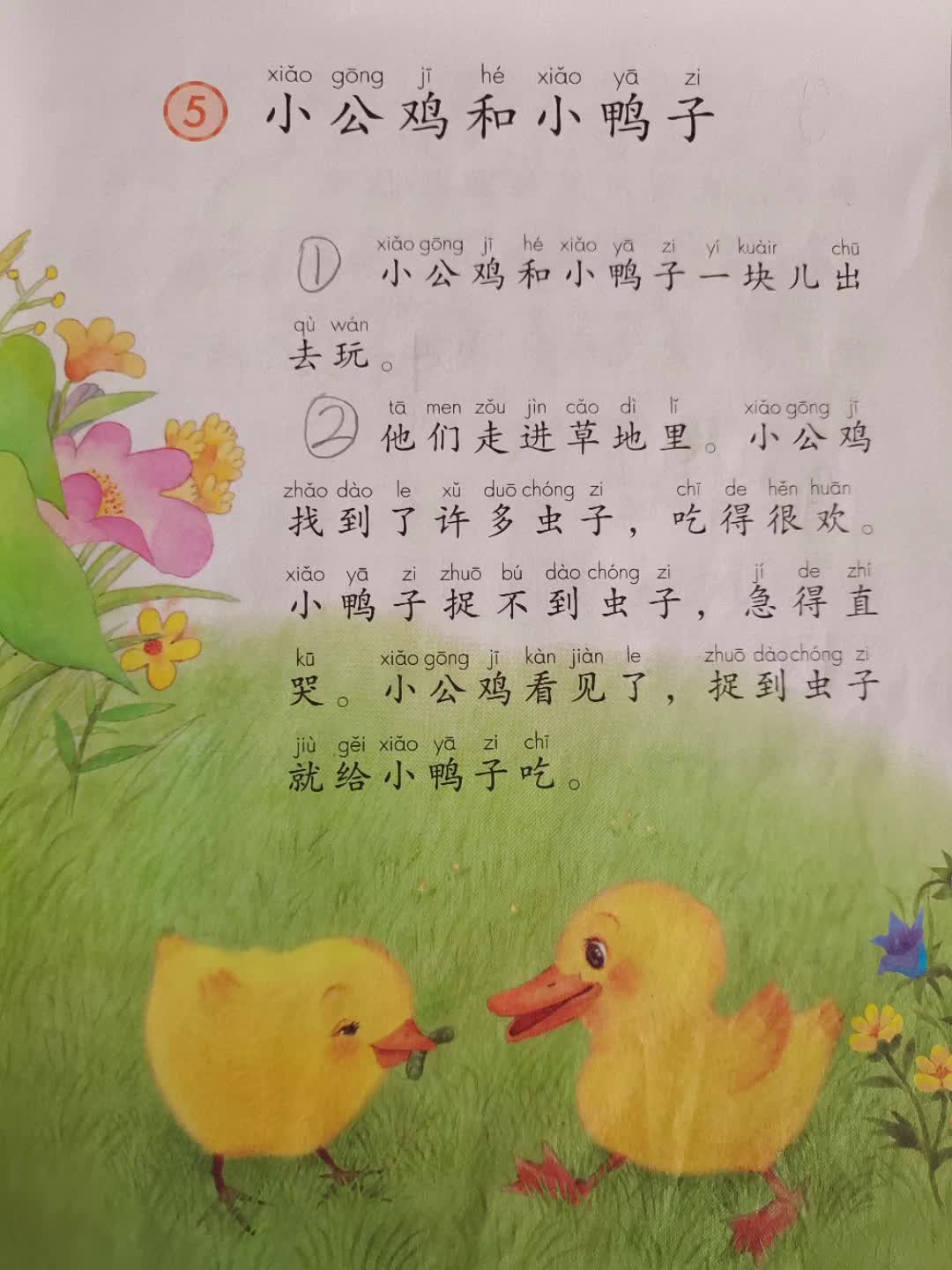 一年级下册课文朗读《小公鸡和小鸭子》