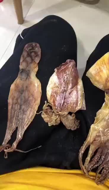 墨鱼,鱿鱼,章鱼的区别