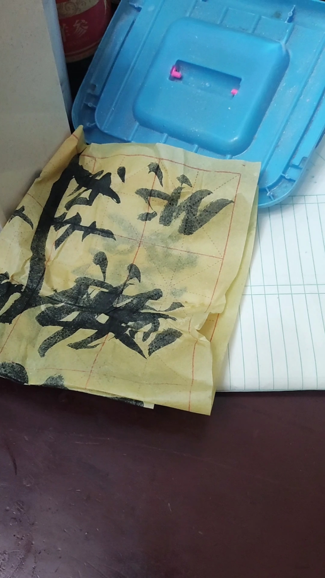 孵蛋小分队——20天乌骨鸡蛋啄壳啦