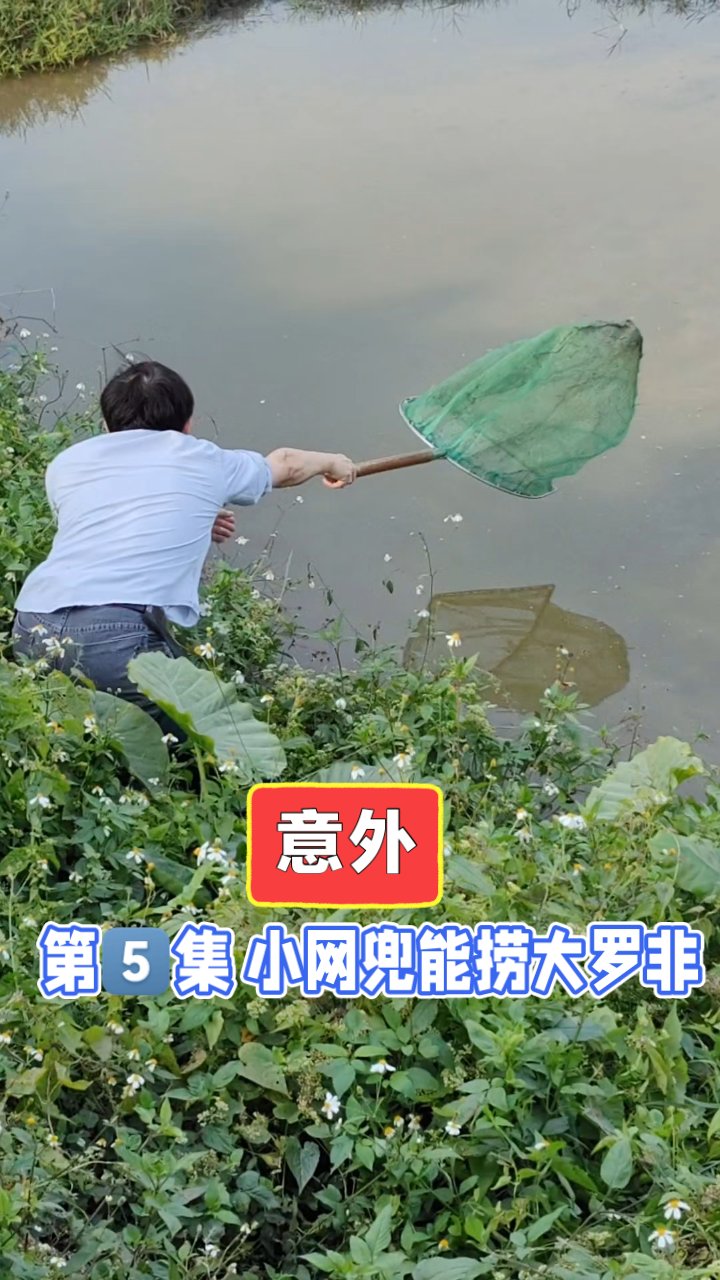 捞鱼绝技!一网捕获大罗非。小网兜也能捞大罗非,让你来可以吗?