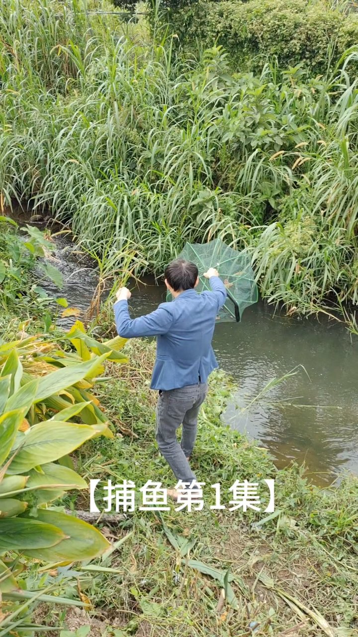 红虫鱼饵大挑战,能否网到鱼