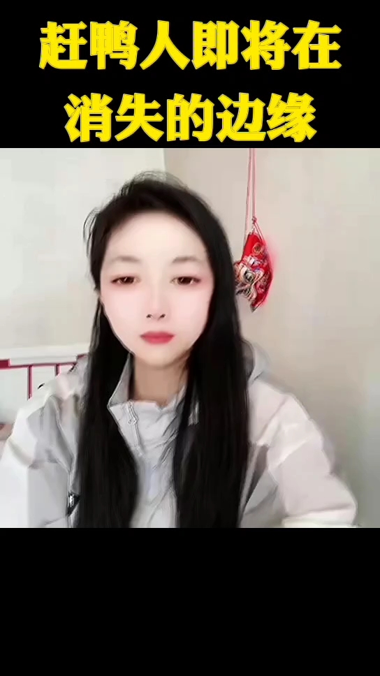 赶鸭人