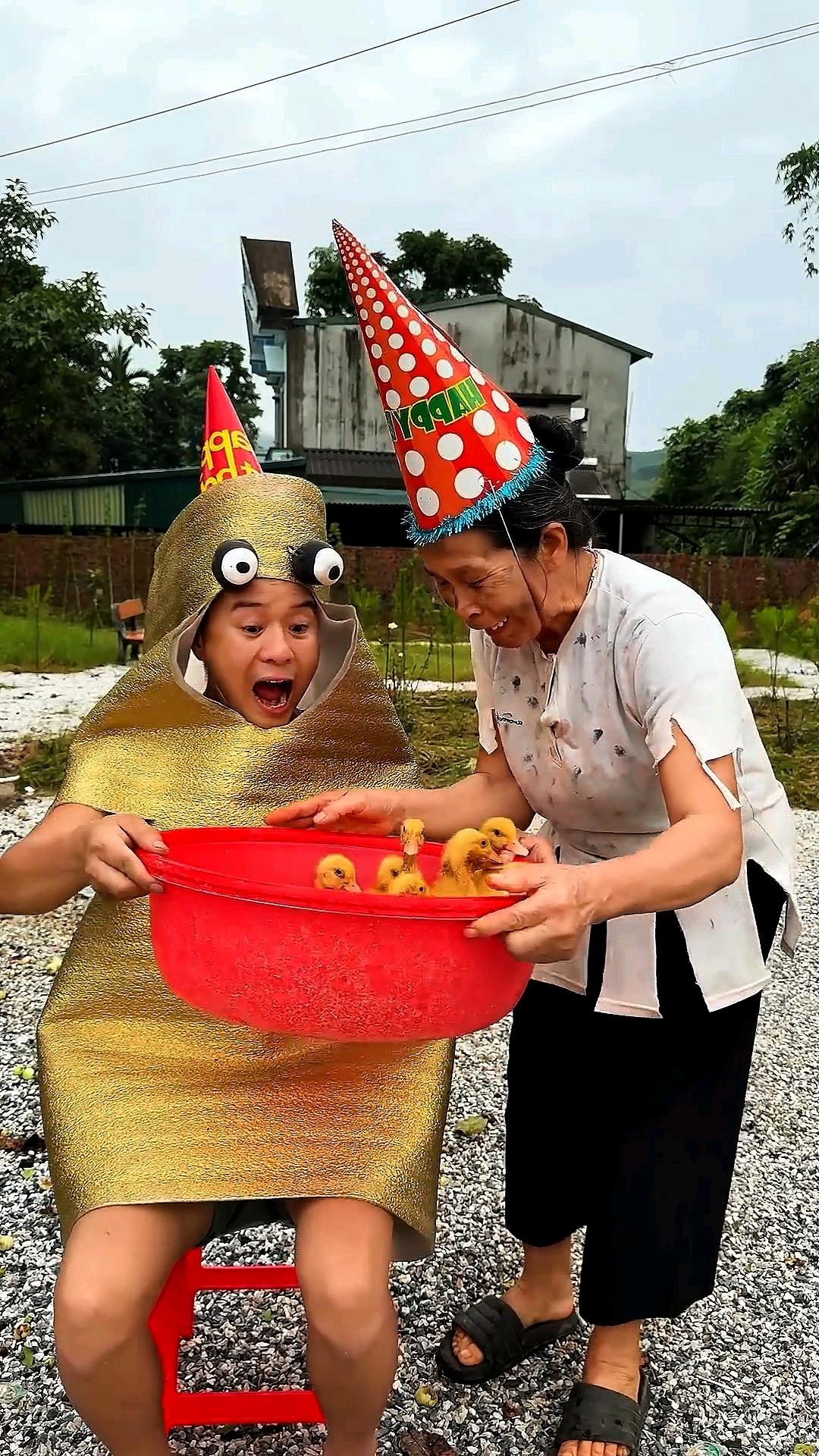 如果你送给木头人小鸭子?
