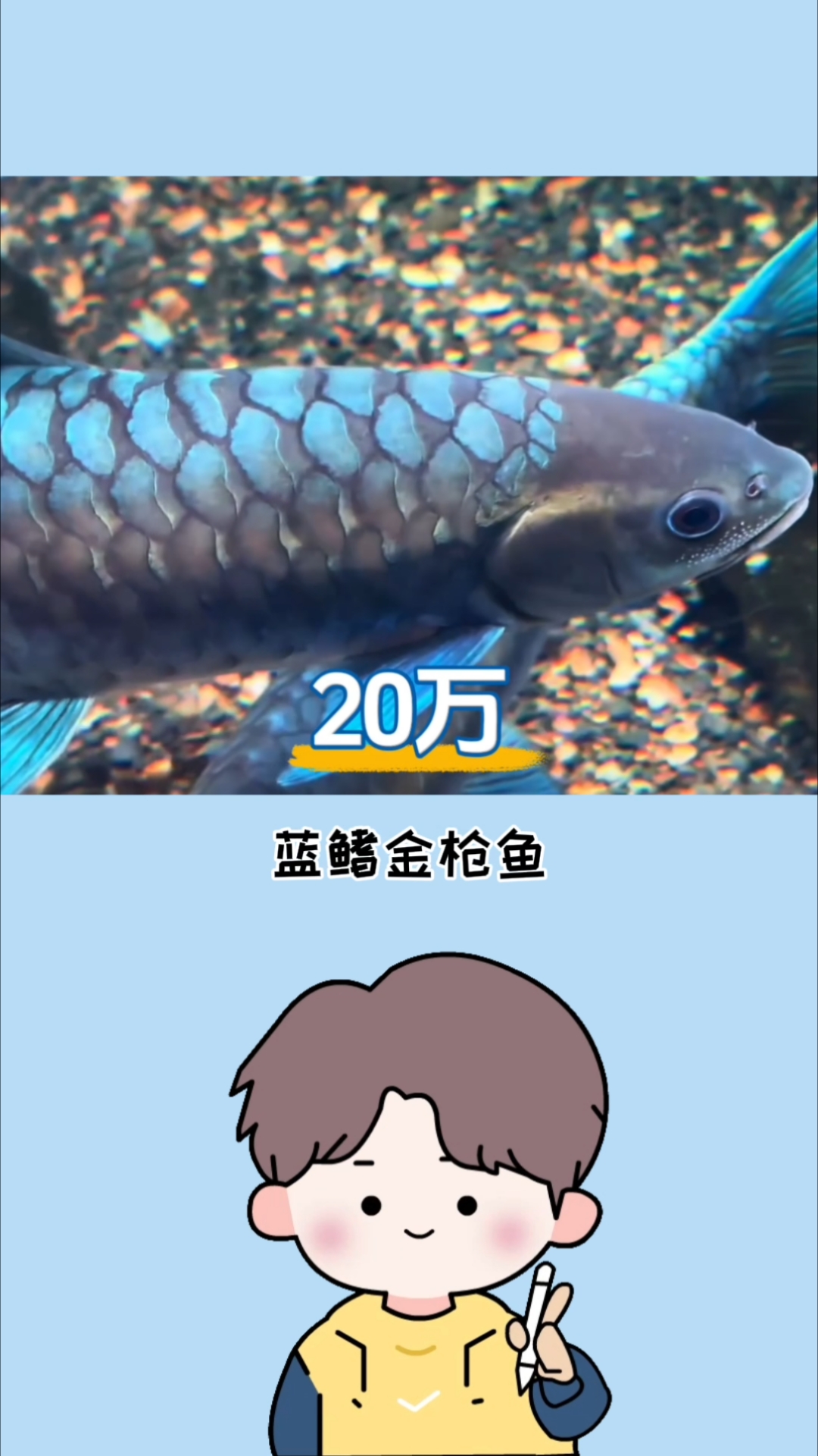 如果你抓到这几种鱼，那么要恭喜你了!