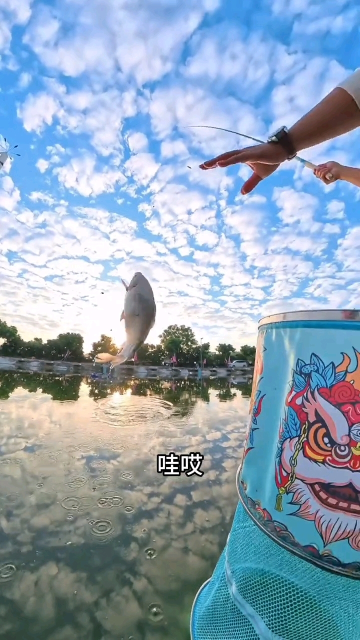 蓝天白云超级漂亮,斩神龙极速版飞鲫鱼