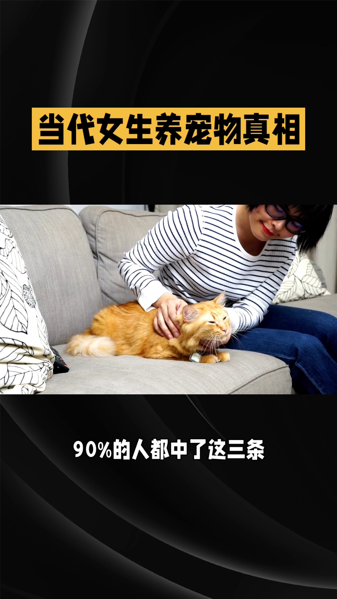 宠物