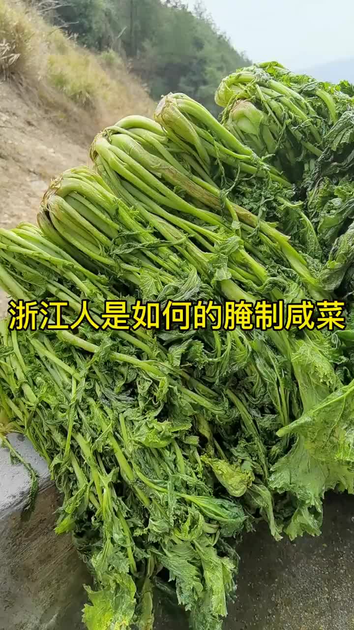 浙江人是如何腌制咸菜的?