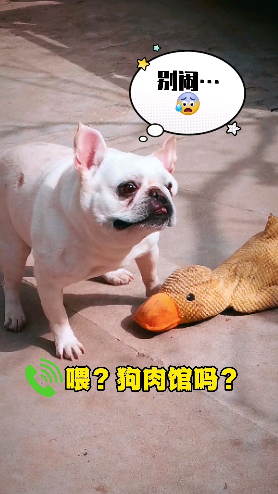 没有“狗肉馆”三个字唬不住的小狗子!