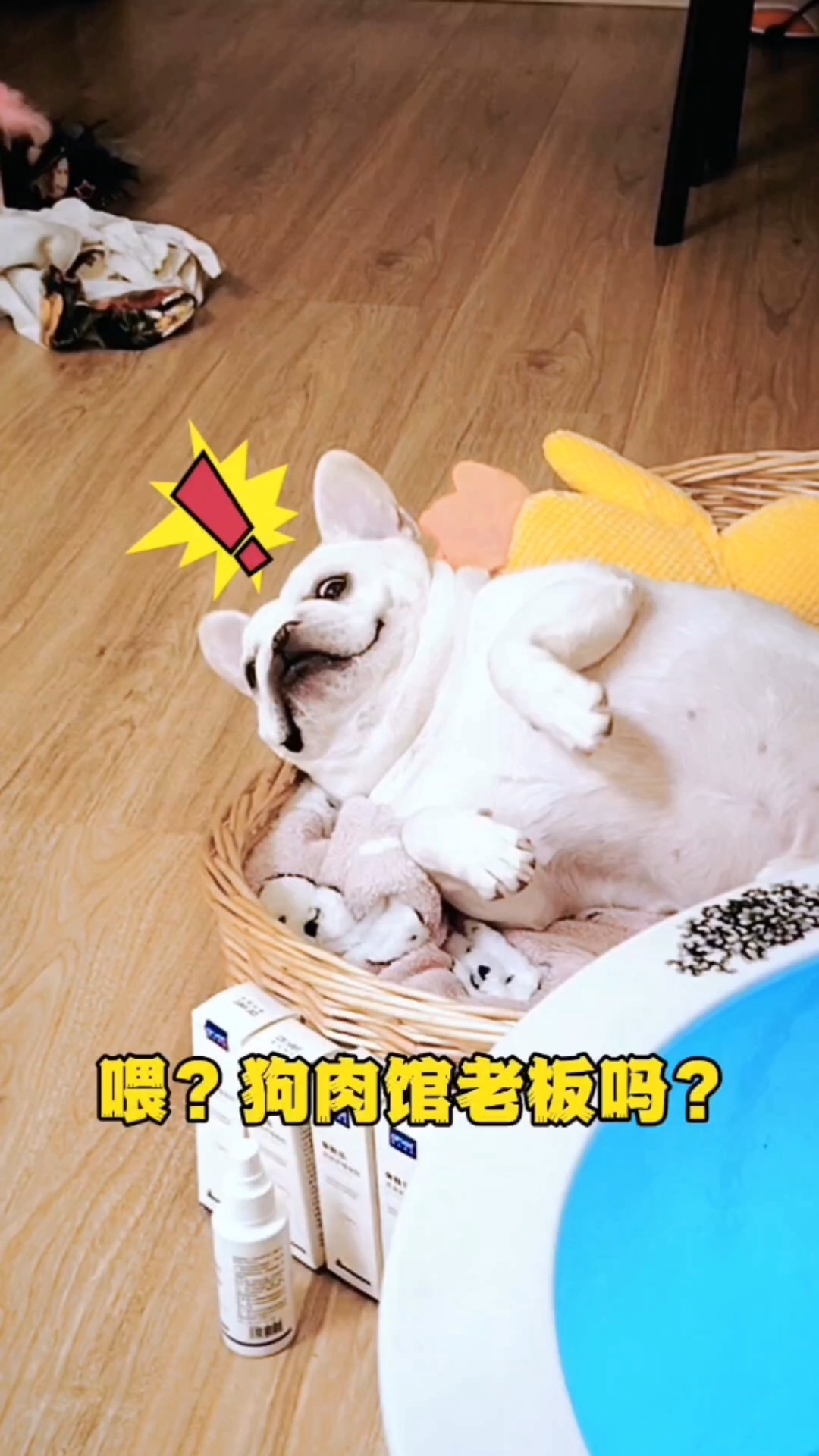 天不怕，地不怕！就怕狗肉馆老板来电话！