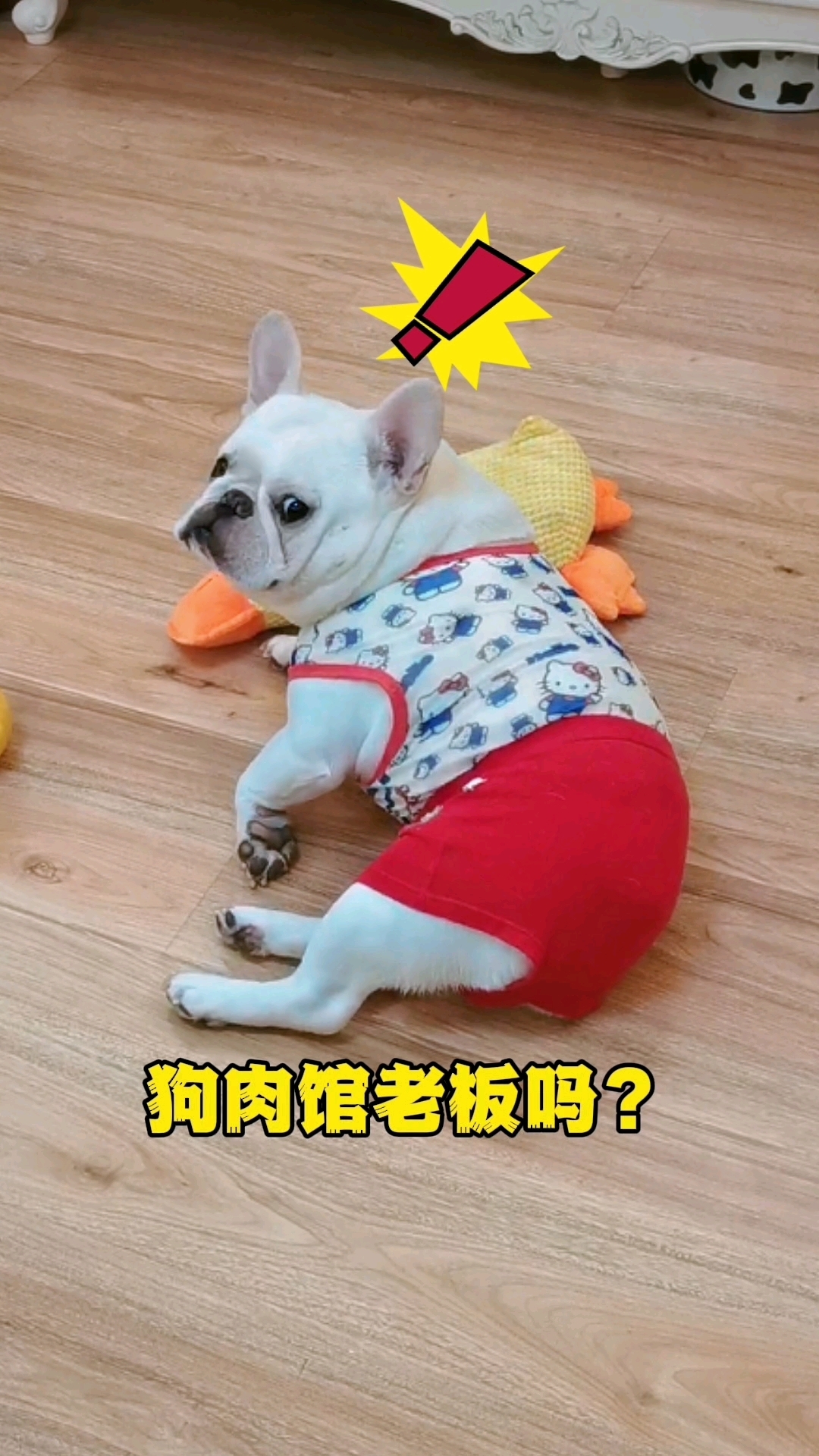 天不怕，地不怕！就怕给狗肉馆老板打电话！