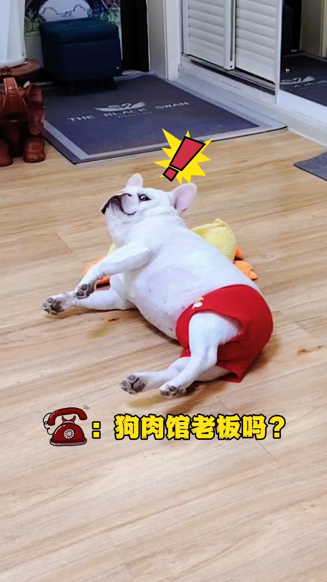 天不怕,地不怕!就怕给狗肉馆老板打电话!