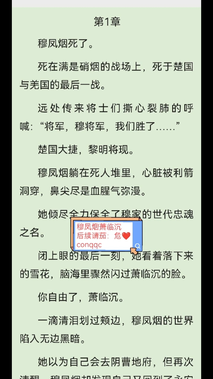 全文小说《穆凤烟萧临沉》又名《穆凤烟萧临沉》原文阅读