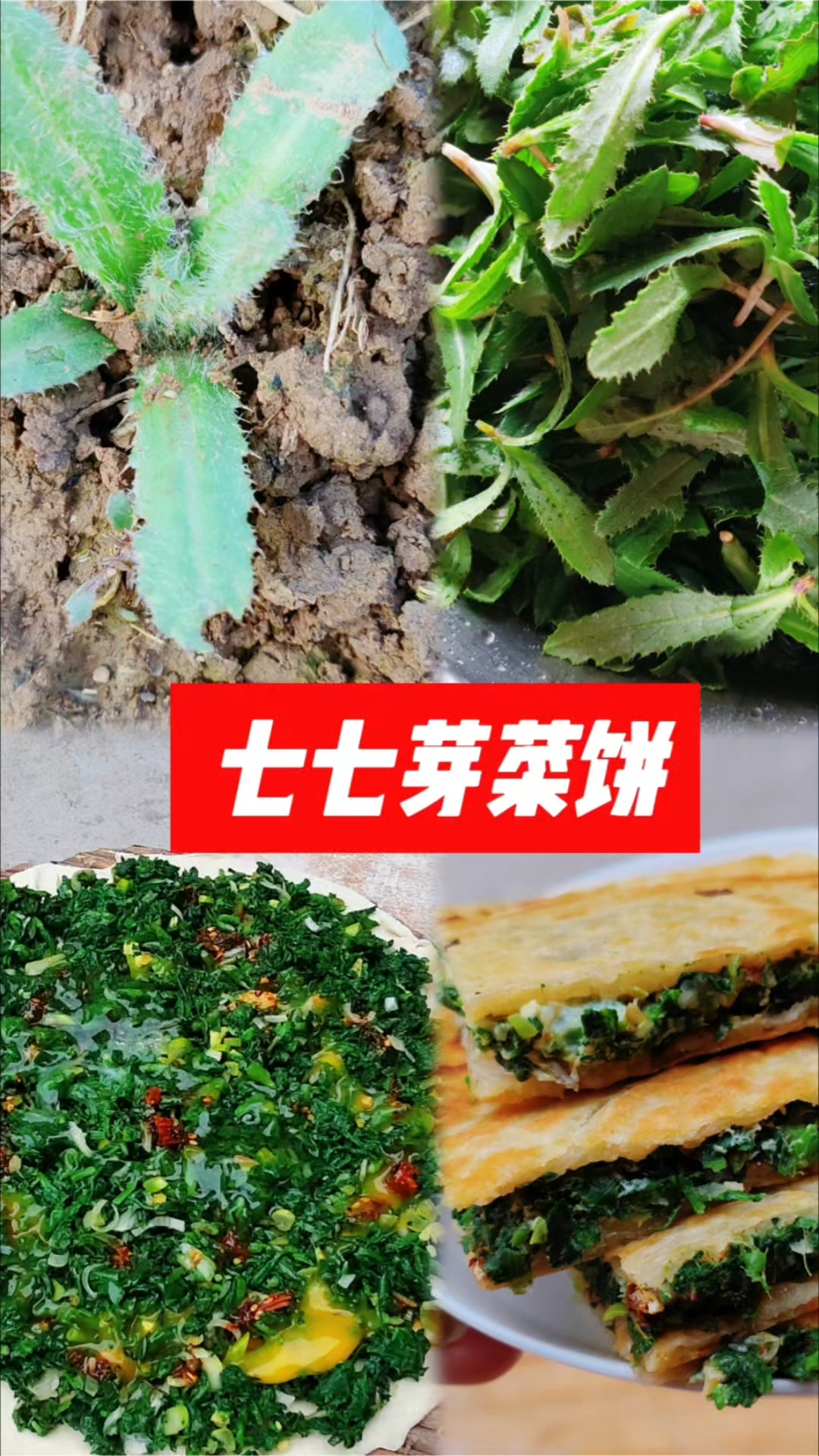 农村常见的七七芽,又名小蓟,嫩苗烙菜饼,脆嫩鲜香,作用大,你吃过吗?#关注三农#