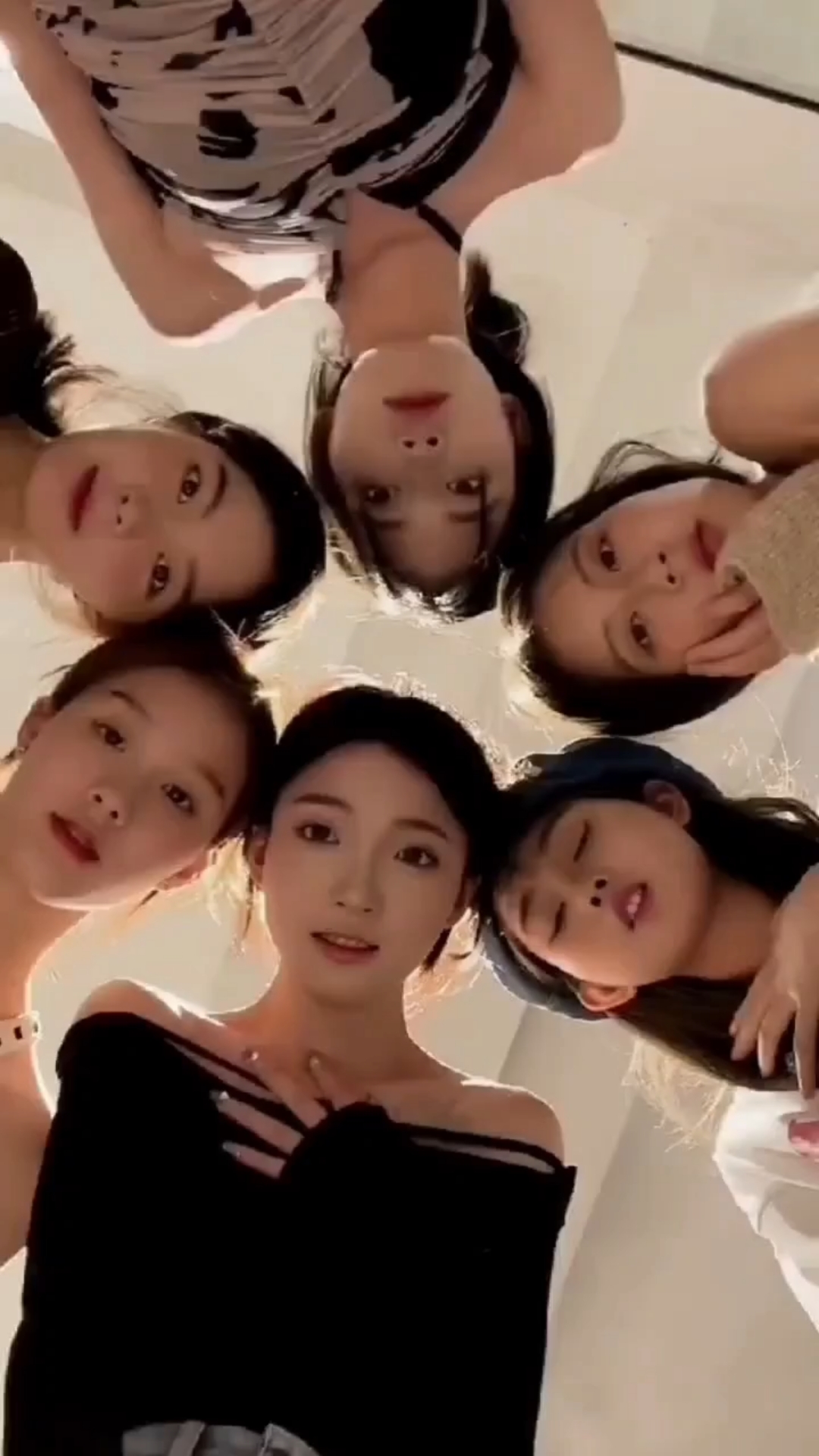 杨晨菊品牌蜂蜜
