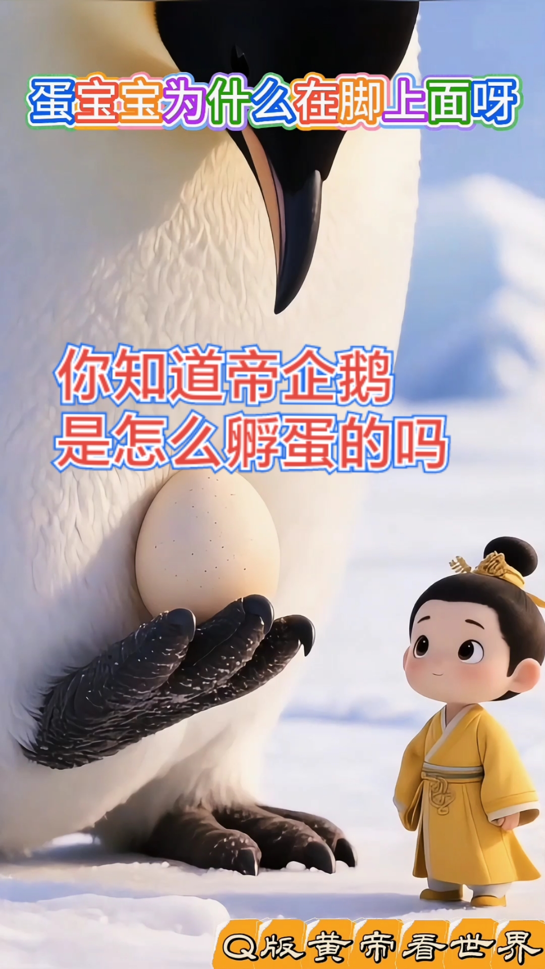帝企鹅爸爸扛饿65天,只为宝宝破壳!