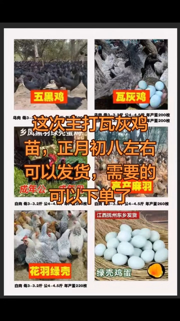 需要的可以提前预定了
