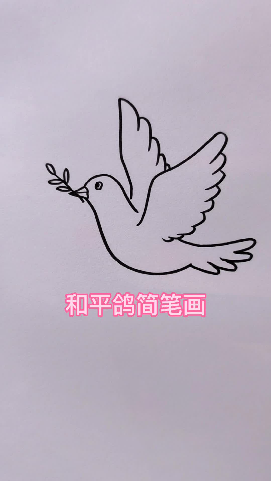 和平鸽简笔画