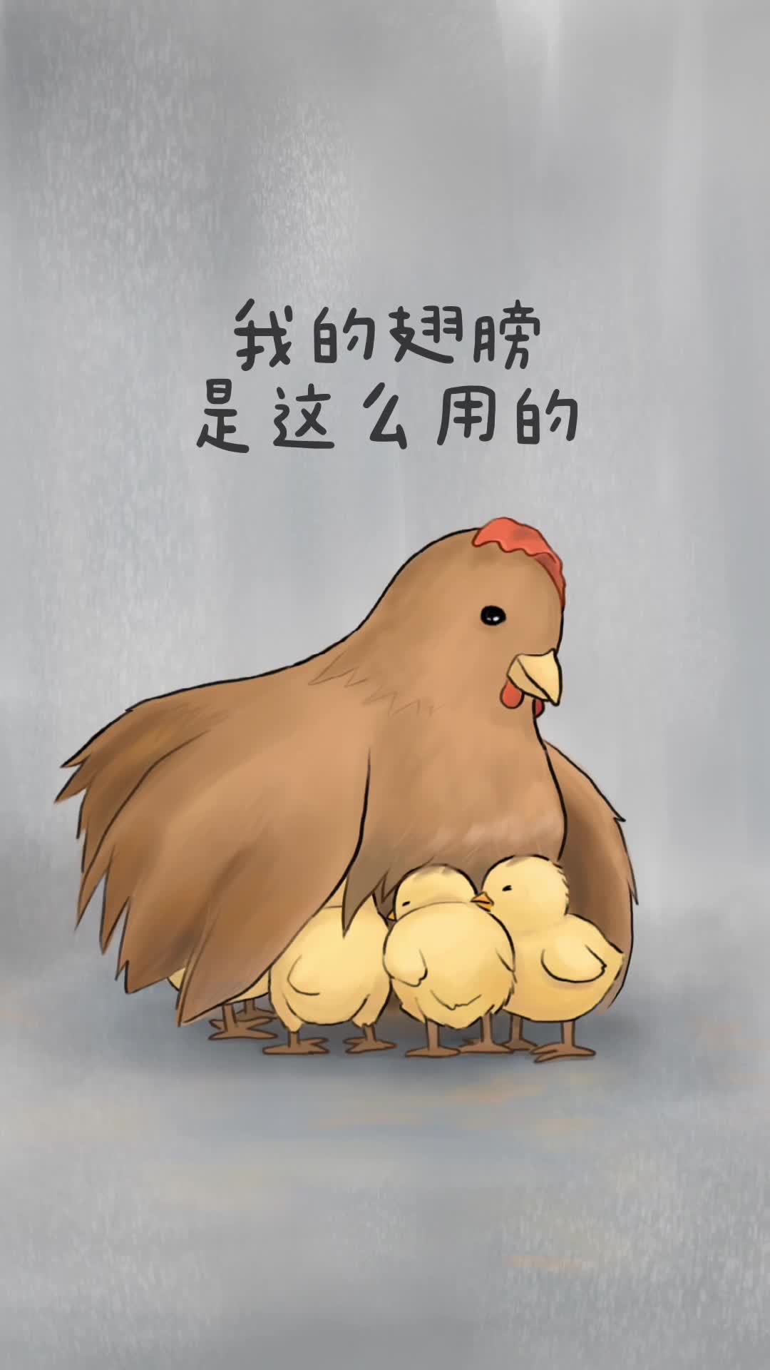 母鸡雨中保护小鸡