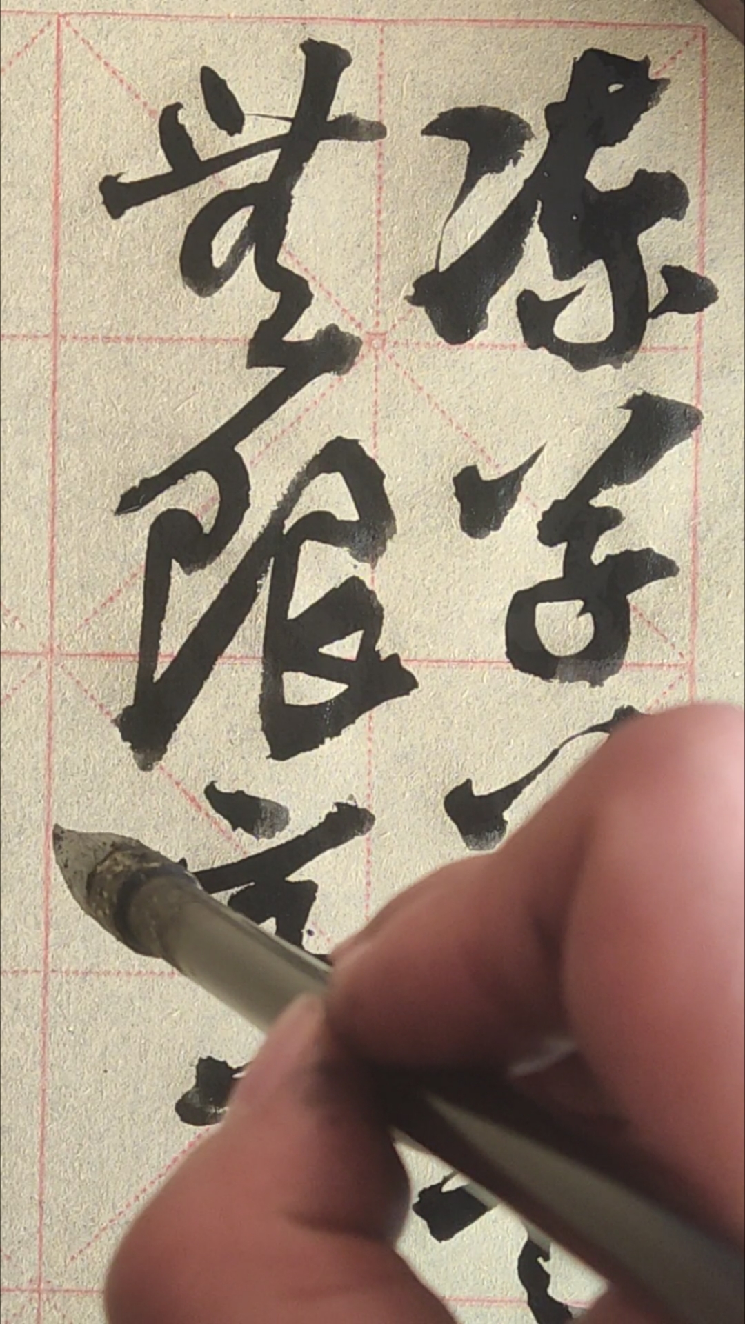 佛不要你皈依,佛要你欢喜!草木何尝不是另一种花朵?