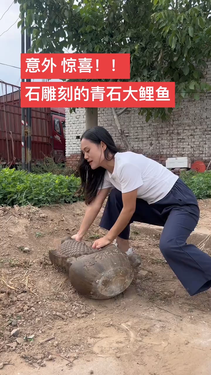 青石鲤鱼,寓意美好