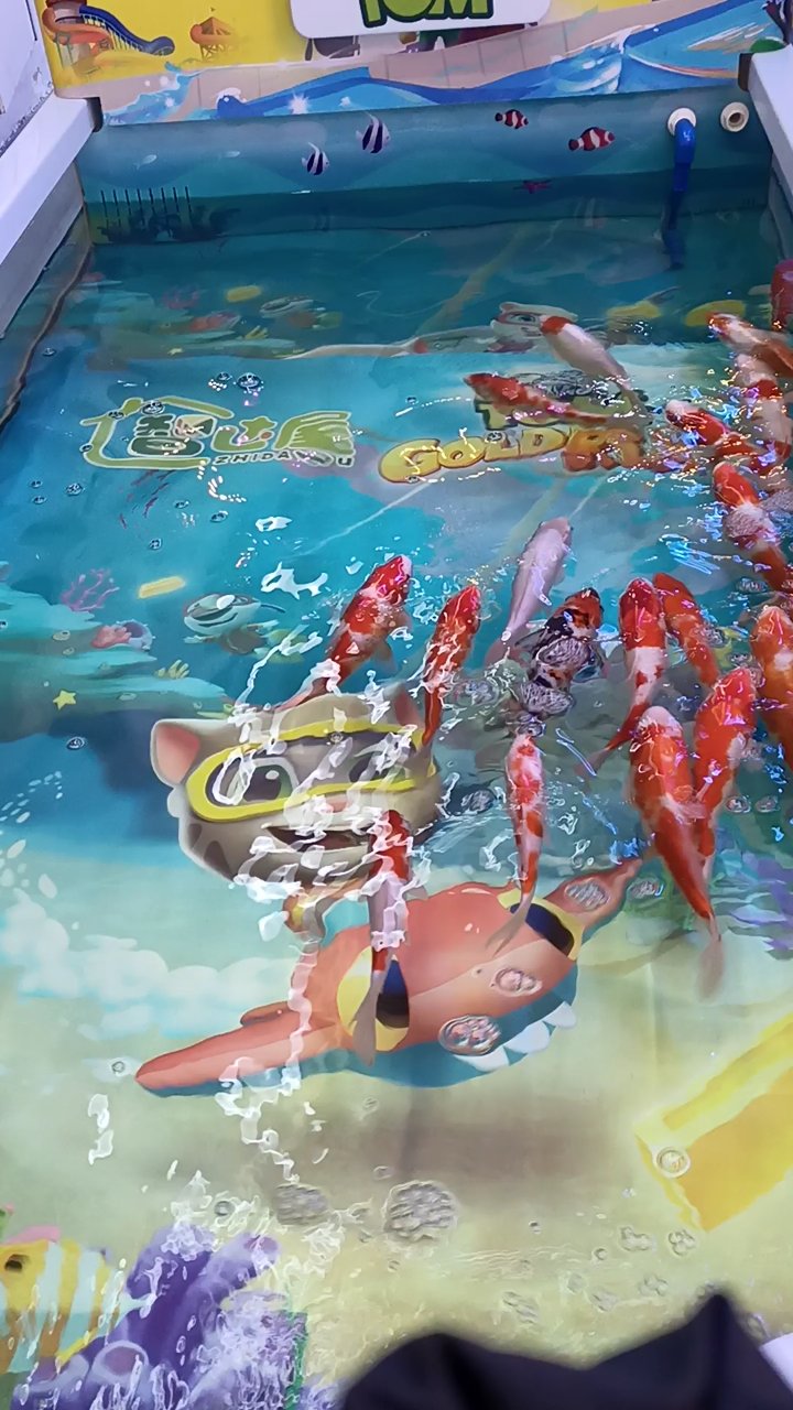观赏鱼
