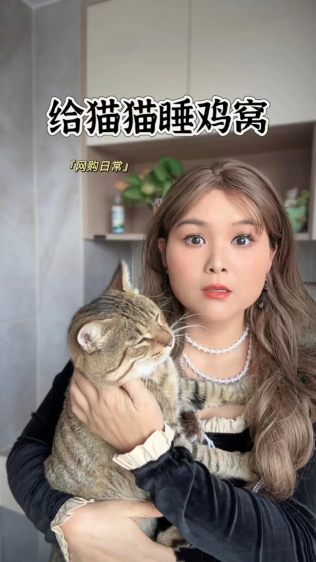 客服，这个鸡窝可以给猫睡吗？