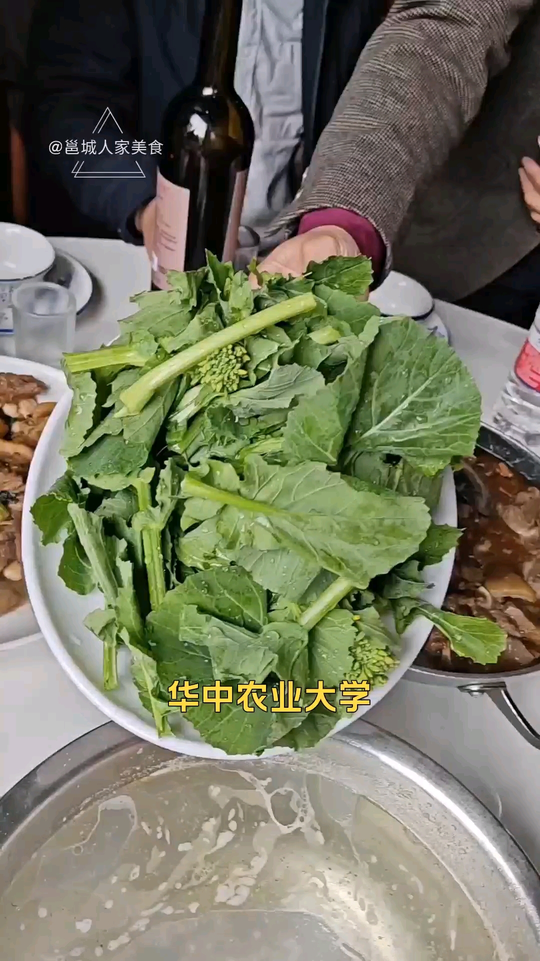板蓝根青菜(菘菜芯1号)广西基地.四季鲜供.百姓餐桌