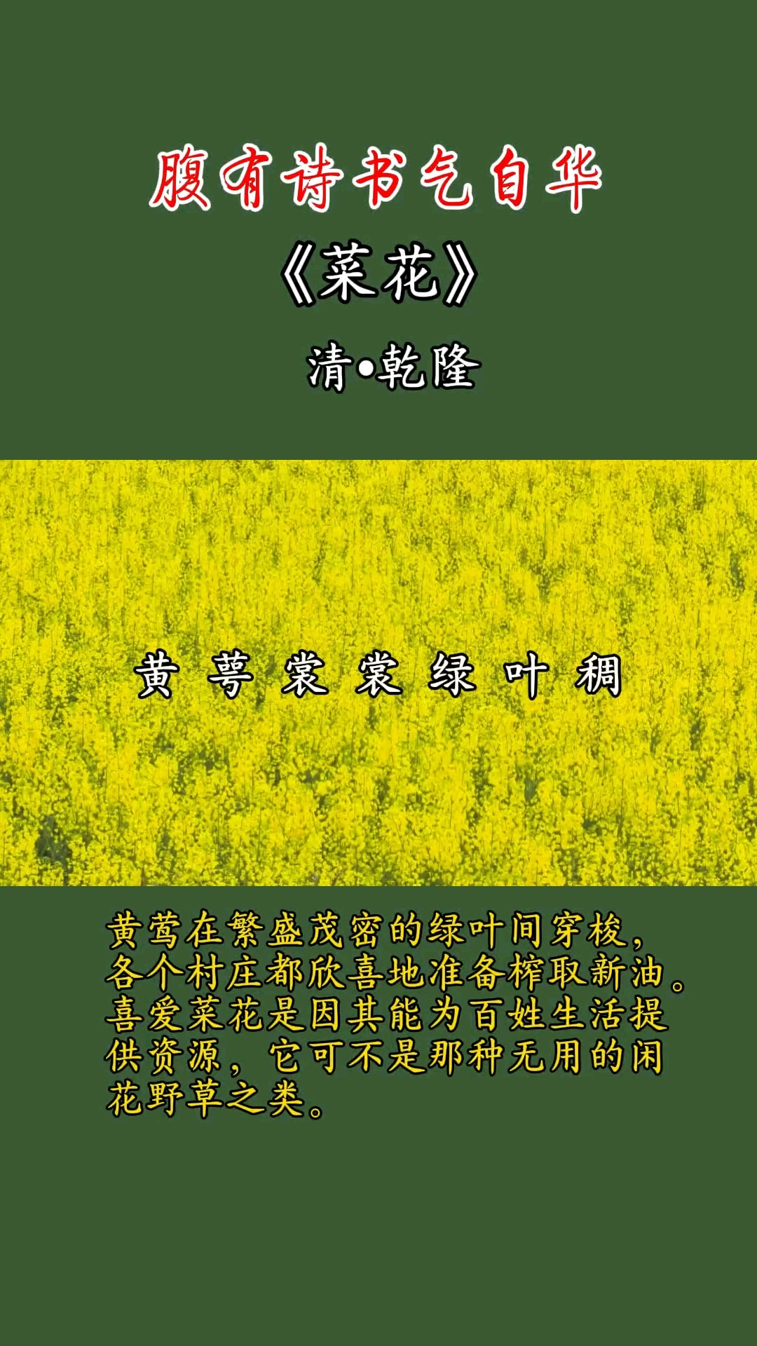 #古诗词#国学文化#诗意生活# 乡村美景#油菜花# 每日诵读打卡
