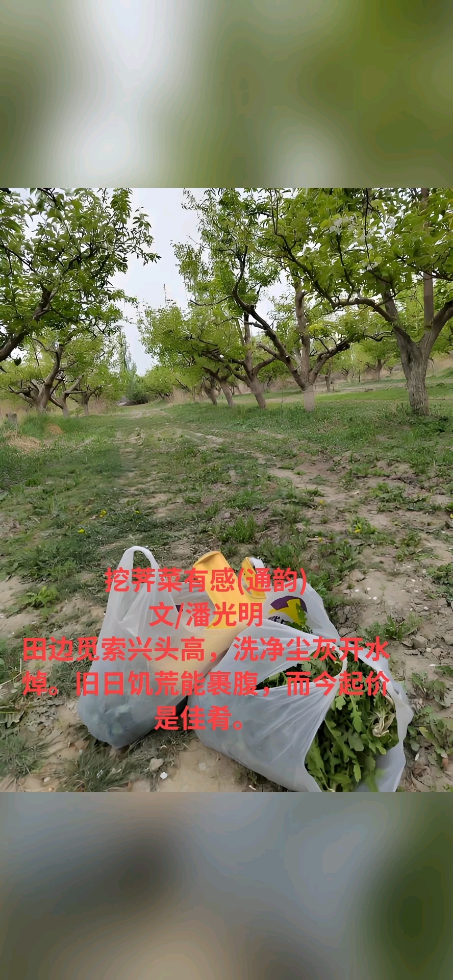 分享视频