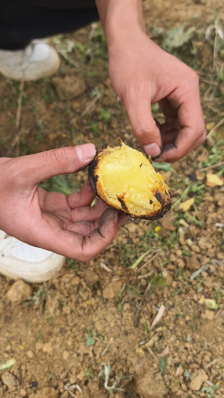 贵州三明治怎么做的看看#春天的第一个AI转场# #春暖花开的日常# #真实生活记录#