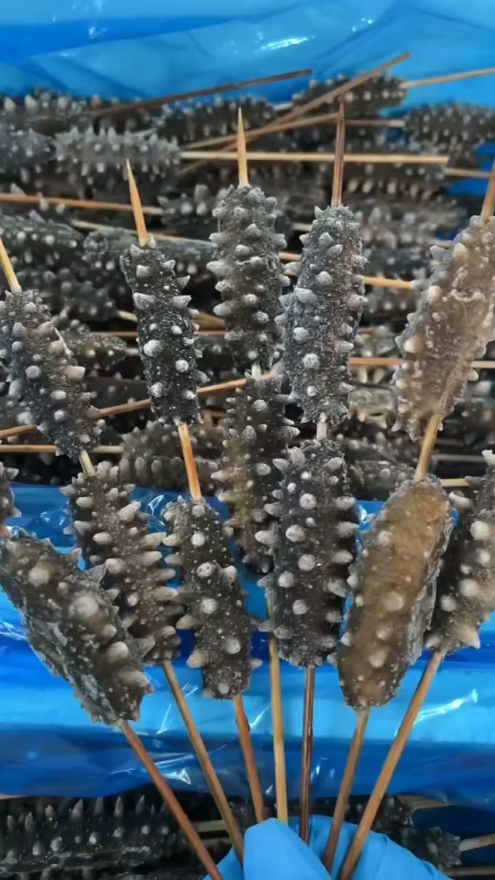 海参烧烤串串新菜品