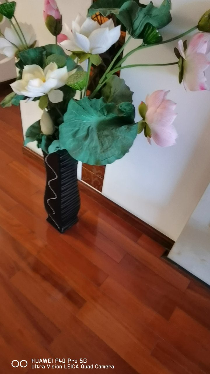 女儿家中的装饰花草