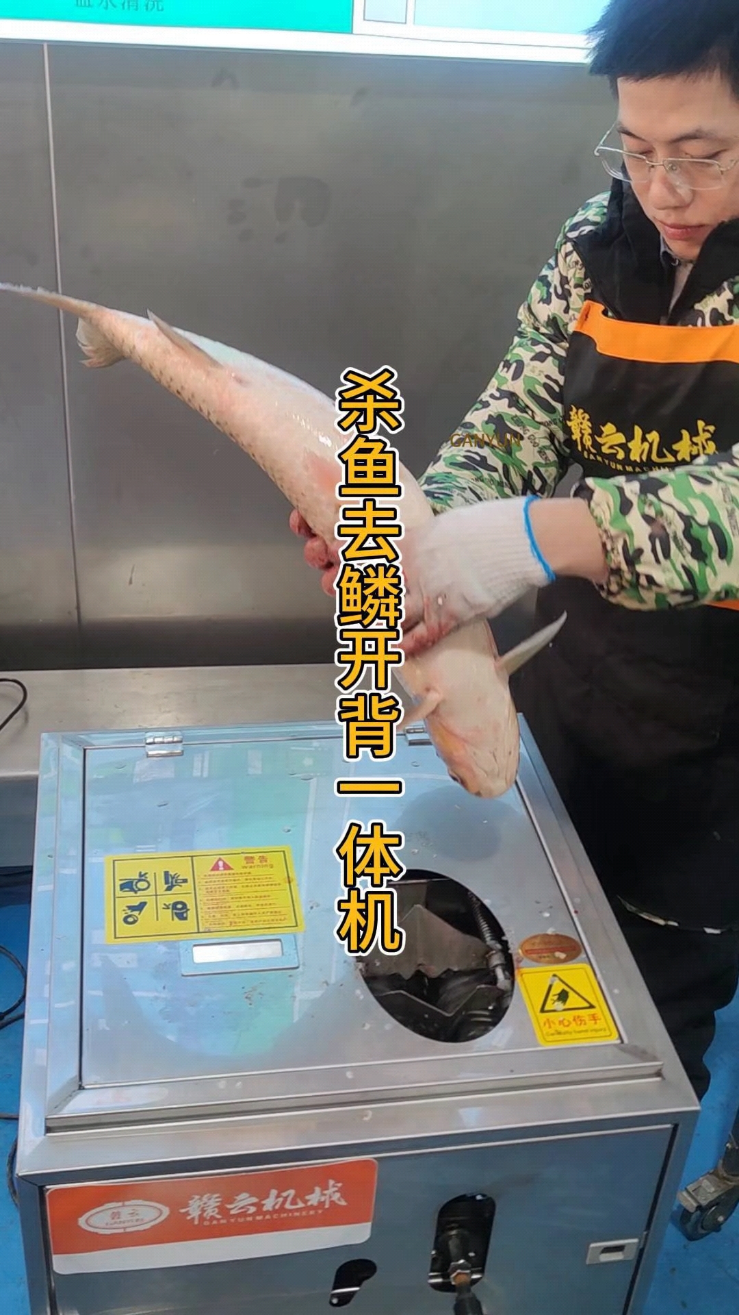 杀鱼开背去鳞一体机,可杀1-15斤的多种鱼类,开背深浅可调