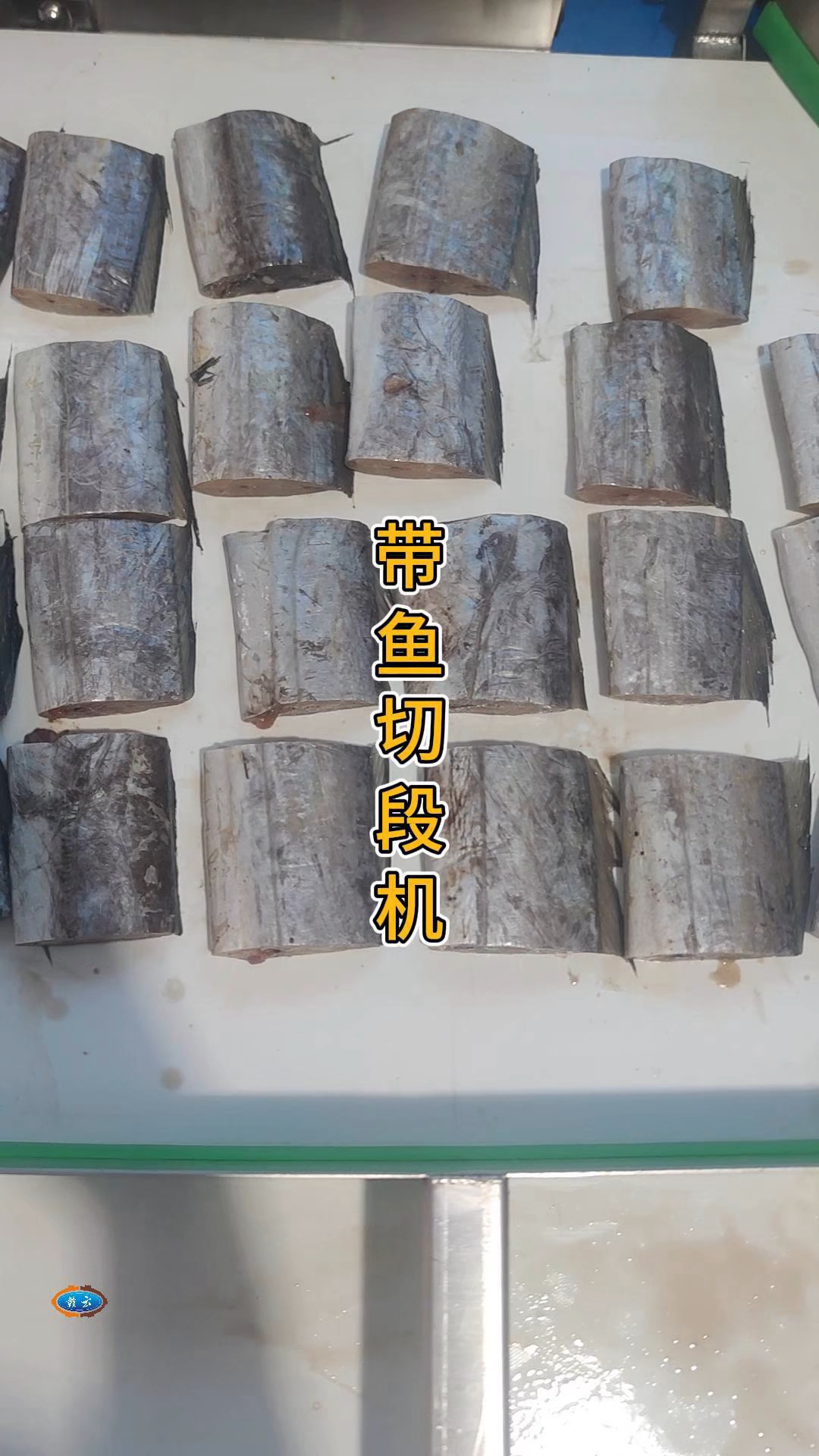 带鱼切段机,秋刀鱼阶段机,鳗鱼切段机,海鱼去头去尾切八段机