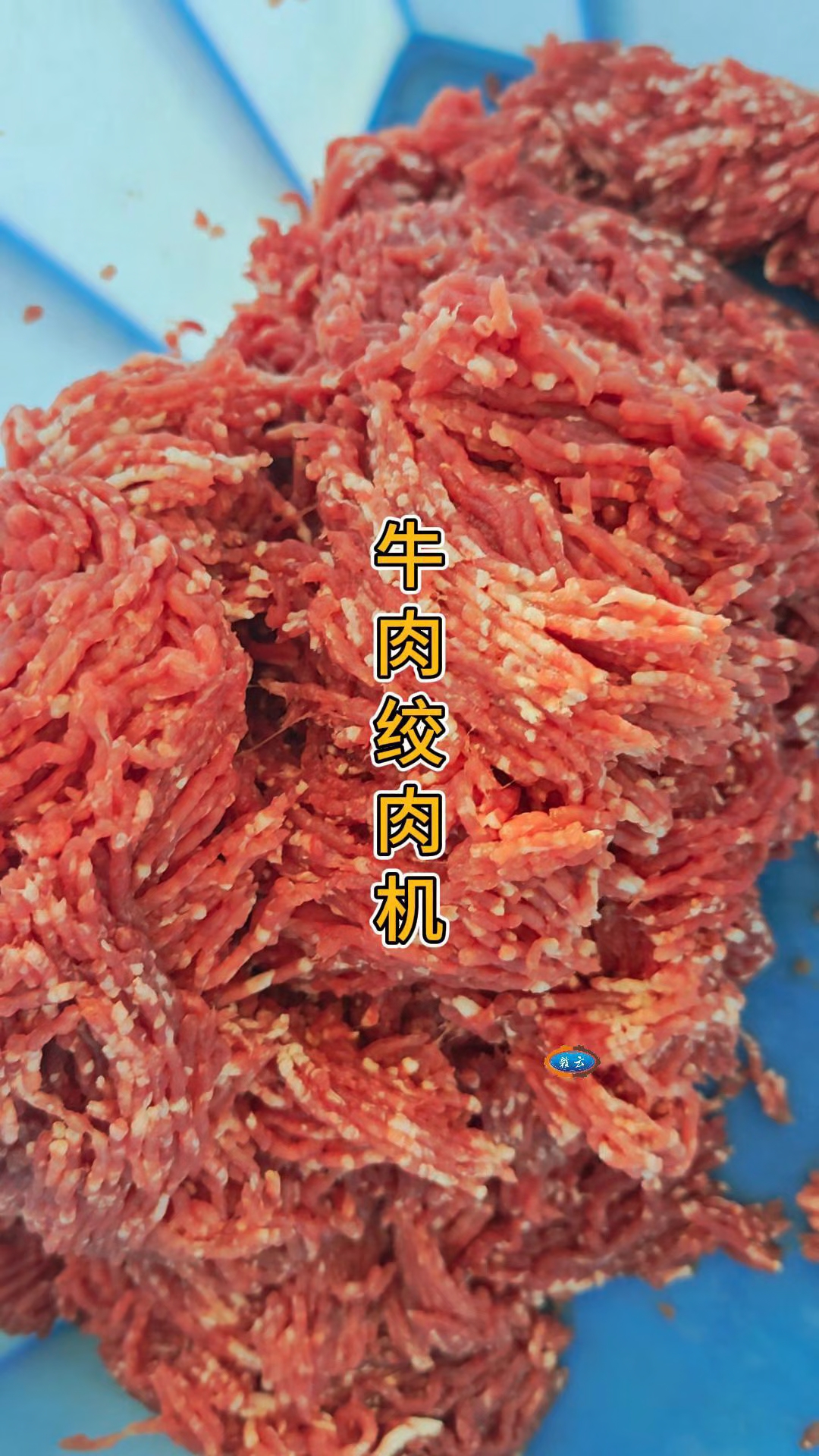 牛肉绞肉机,果蔬鲜肉绞肉机,强劲动力绞肉更轻松
